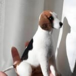 5a68be6d ee23 4fe4 a80a 94132f4611eb